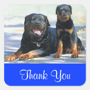 Thank You Rottweiler Puppy Dog Greeting Sticker