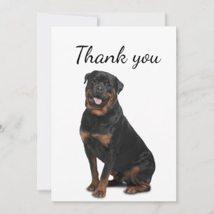 Thank You Rotweiller Dog Pet Animal 