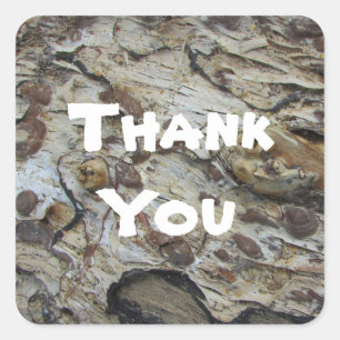Thank You Rustic Driftwood Pattern Appreciation Square Sticker