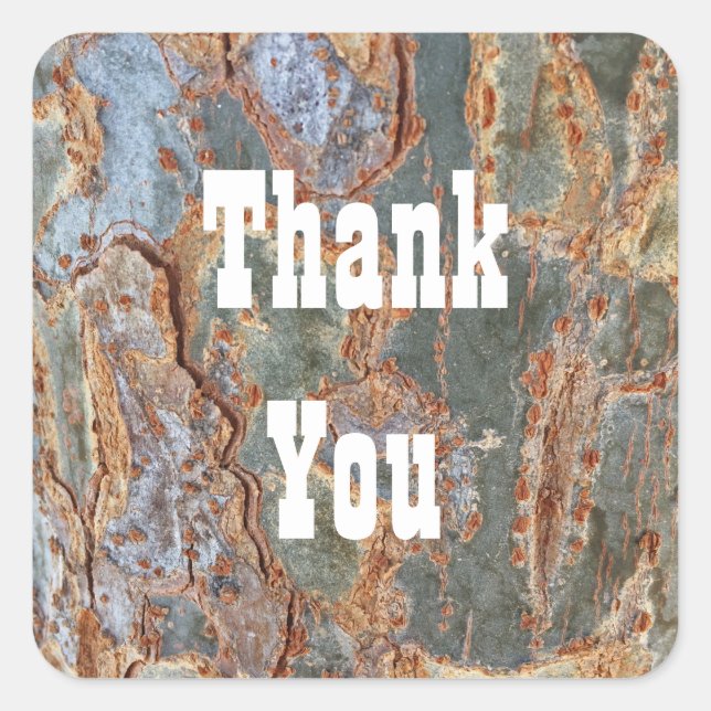 Thank You Rustic Tree Bark Abstract Appreciation Square Sticker (Front)