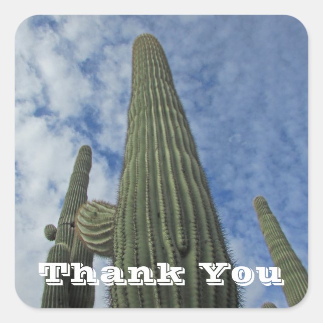 Thank You Saguaro Cactus Blue Sky Appreciation Square Sticker (Front)
