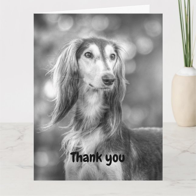 Thank you Saluki Card (Front)