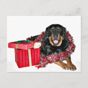 Thank you Santa Holiday Postcard