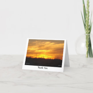 Thank You - scusset beach