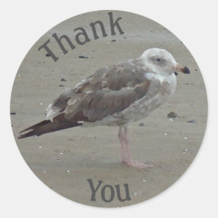 Thank You Seagull Beach Coastal Appreciation Classic Round Sticker