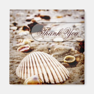 Thank You Seashells Beach Magnet