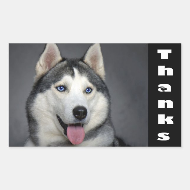 Thank You Siberian Husky Puppy Dog Custom Stickers (Front)