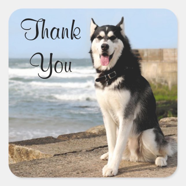 Thank You Siberian Husky Puppy Dog Stickers Labels (Front)