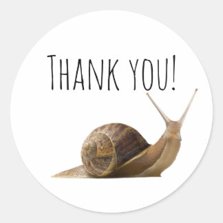 Thank you Snail Classic Round Sticker