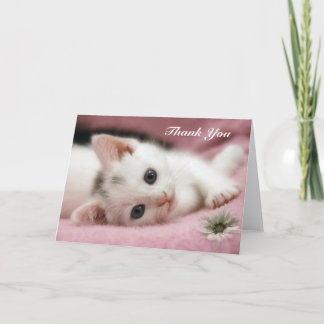 Thank You   Snow White