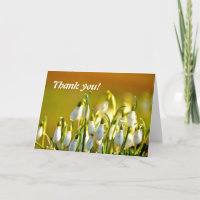 Thank you Snowdrops Flowers