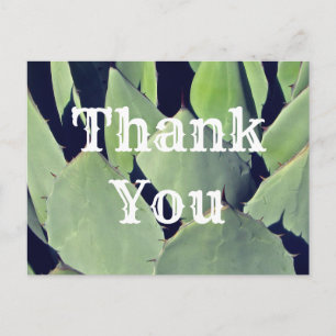 Thank You Southwestern Style Agave Appreciation Postcard