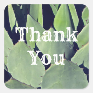Thank You Southwestern Style Agave Appreciation Square Sticker
