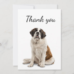 Thank You St. Bernard Dog Pet Animal