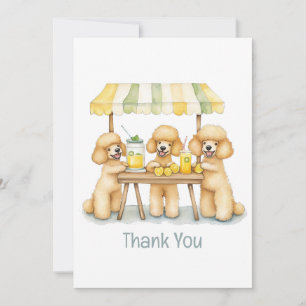Thank You Standard Poodle Dogs Lemonade Stand Card