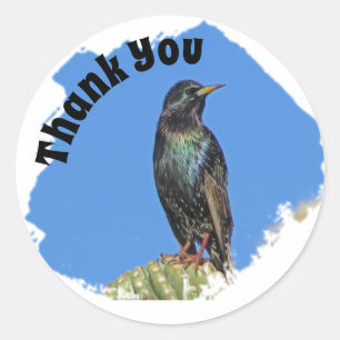 Thank You Starling and Cactus Appreciation Classic Round Sticker