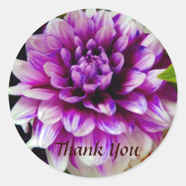 Thank You_ Sticker (Front)