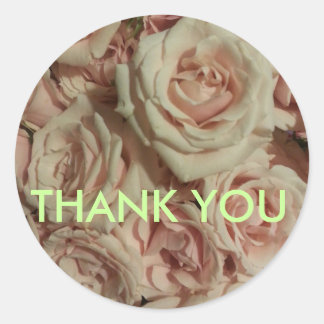 Thank you sticker rose pink rose background