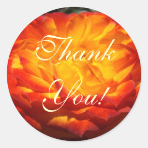 Thank You! stickers Bright Orange Rose Flower art