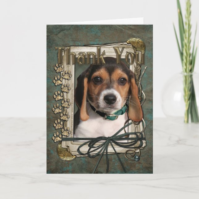 Thank You - Stone Paws - Beagle Puppy Card (Front)