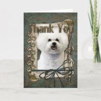 Thank You - Stone Paws - Bichon Frise