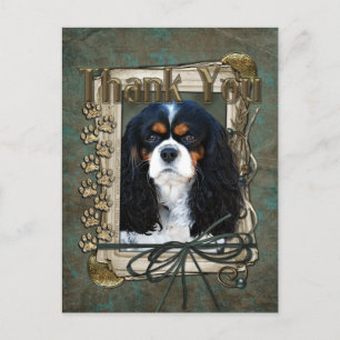 Thank You - Stone Paws - Cavalier Postcard