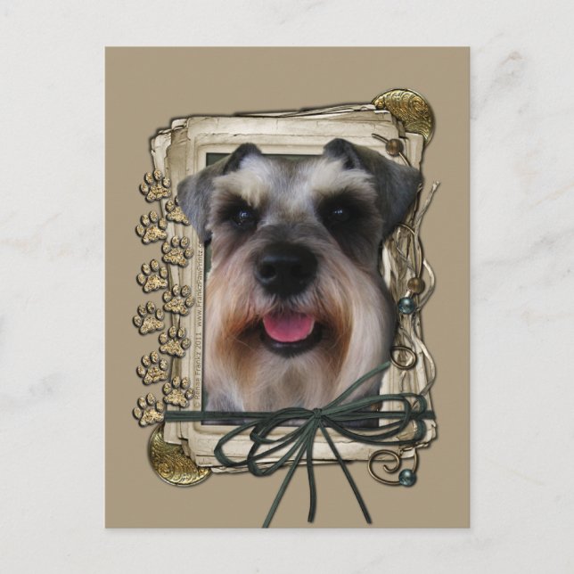 Thank you - Stone Paws - Schnauzer Postcard (Front)