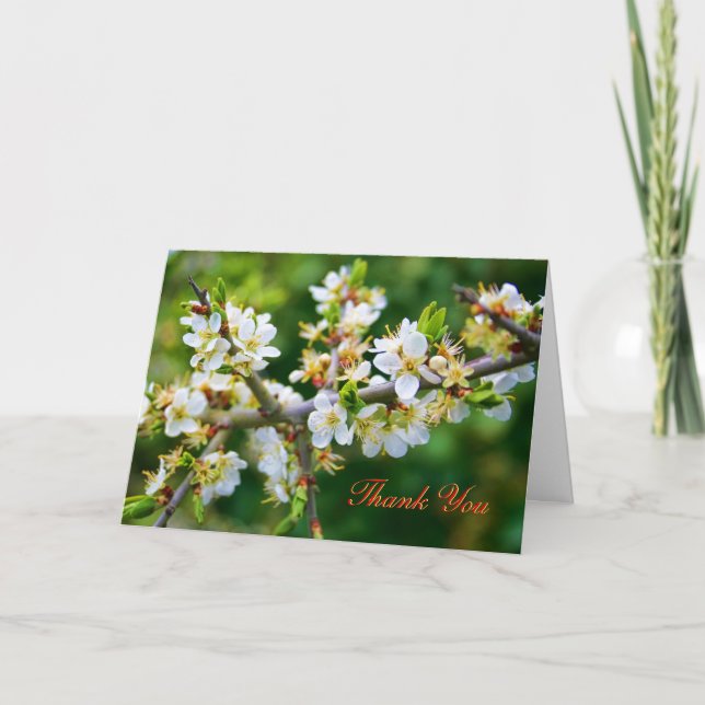 Thank You - Sun-Dappled Spring Hawthorn (Front)