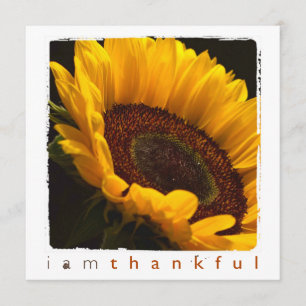 Thank You sunflower photography flat cards