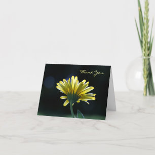 Thank You Sunlit Yellow Daisy Beautiful Flowers Card