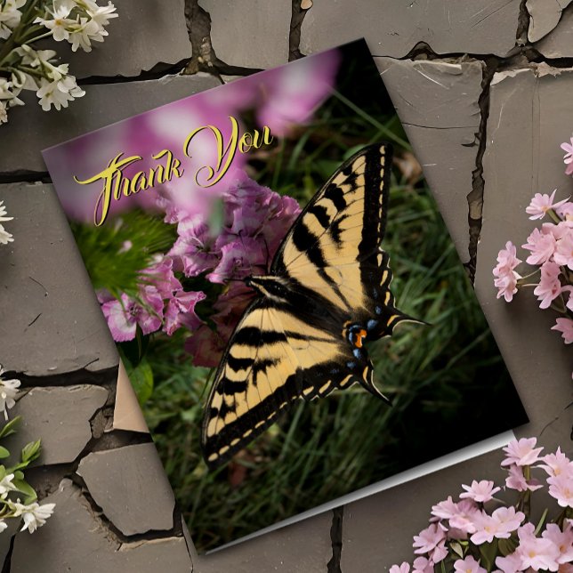 Thank You Swallowtail Butterfly Pink Summer Floral (Pretty Tiger Swallowtail butterfly garden thank you card nature photo with pink flowers)