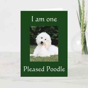 ***THANK YOU*** THANK YOU CARD