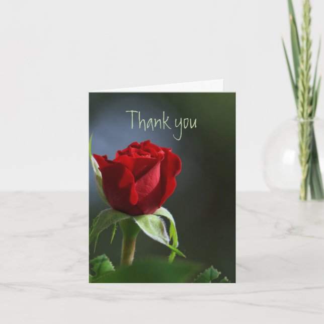 Thank you Thanks Red Rose Garden Flower Card (Front)