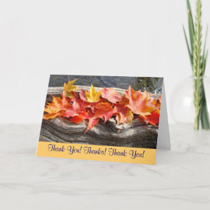 Thank You! Thanks! Thank You! Cards Autumn Leaves