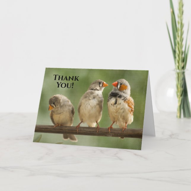 Thank You Three Finches Animal Bird Photography Card (Front)