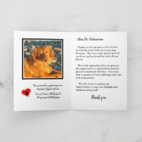 Thank You to Veterinarian for Rainbow Bridge Pets.