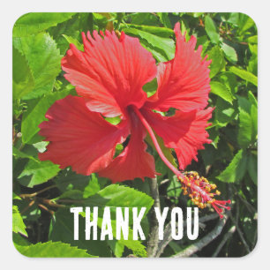 Thank You Tropical Flower Pink Floral Appreciation Square Sticker