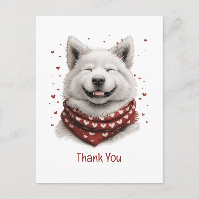 Thank You Valentines Day Samoyed Dog Postcard (Front)