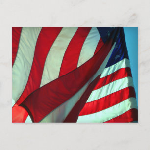 Thank You  ... Veterans Day Postcard