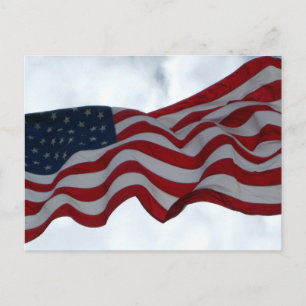 Thank You  ... Veterans Day Postcard