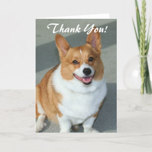 Thank You Welsh corgi greeting card