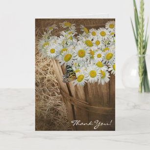 thank you-white daisies and butterfly you card