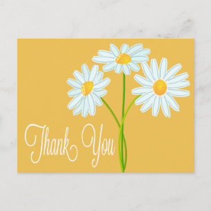 Thank You White Daisy Flower Orange Post Card