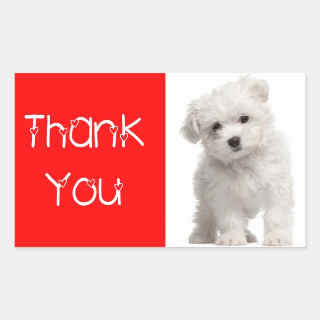Thank You White Maltese Puppy Dog  Sticker / Label (Front)