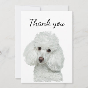 Thank You White Poodle Dog Pet Animal Card