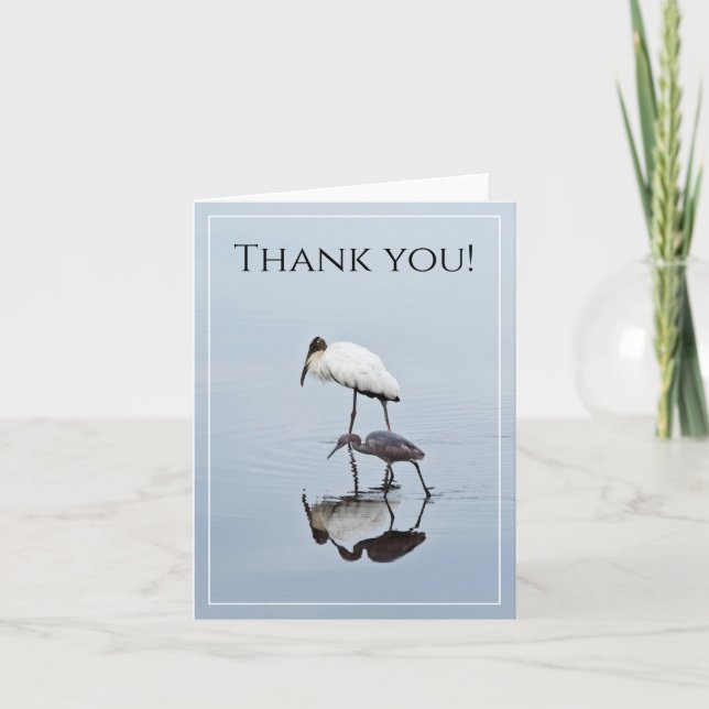 Thank You Wood Stork & Blue Heron Reflection Photo Card (Front)