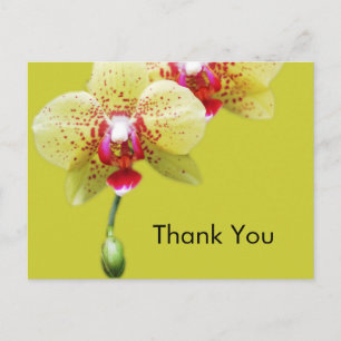 thank you, yellow orchid flowers postcard