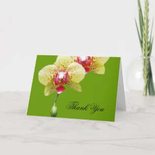 thank you, yellow orchid flowers you card