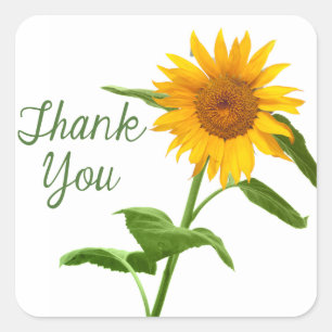 Thank You Yellow Sunflower Floral Stickers
