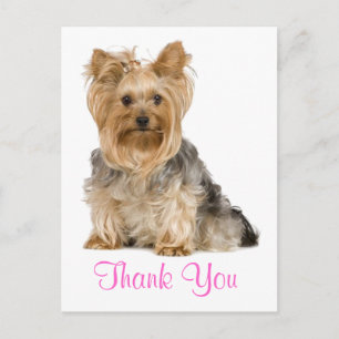 Thank You Yorkshire Terrier Puppy Dog Postcard